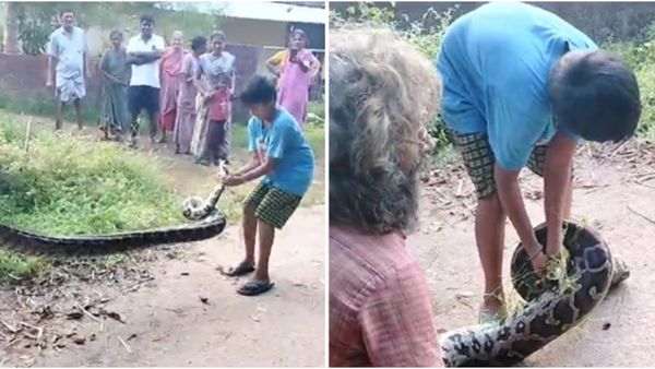 ಕುಂದಾಪುರ: ಬೃಹತ್‌ ಹೆಬ್ಬಾವು ಹಿಡಿದ ಏಳನೇ ತರಗತಿ ಪೋರ, ವಿಡಿಯೋ ಸಖತ್‌ ವೈರಲ್‌