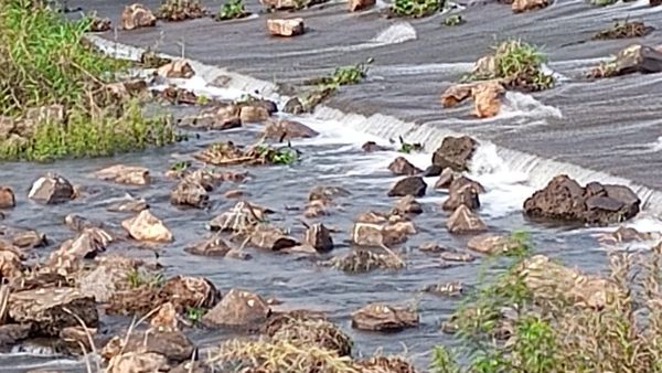 ಚನ್ನಗಿರಿ: ಸೂಪರ್ ಬ್ರಾಡ್ ಗೇಜ್‌ನಿಂದ ಅಪಾರ ಪ್ರಮಾಣದ ನೀರು ಪೋಲು, ಆಕ್ರೋಶಗೊಂಡ ರೈತರು ಮಾಡಿದ್ದೇನು ಗೊತ್ತಾ?