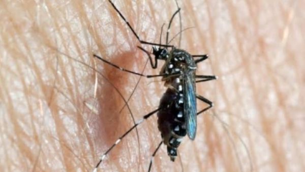 Zika virus: ಝಿಕಾ ವೈರಸ್ ತಡೆಗೆ ಚಿಕ್ಕಬಳ್ಳಾಪುರ ಜಿಲ್ಲಾಡಳಿತ ತೆಗೆದುಕೊಂಡ ಕ್ರಮಗಳಿವು