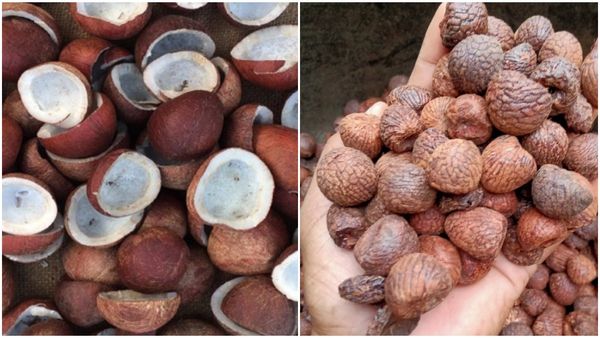Arecanut Price: ಸ್ಥಿರತೆ ಕಾಯ್ದುಕೊಂಡ ಅಡಿಕೆ ಧಾರಣೆ: ಕೊಬ್ಬರಿ ಬೆಲೆ ಹೇಗಿದೆ ತಿಳಿಯಿರಿ 