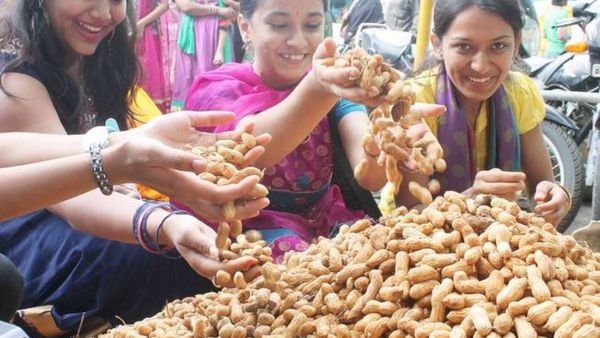 Kadalekai Parishe: ನಾಳೆ ಸೋಮವಾರ ಕಡಲೆಕಾಯಿ ಪರಿಷೆಗೆ ವಿದ್ಯುಕ್ತ ಚಾಲನೆ, ಸಿಂಗಾರಗೊಂಡ ಬಸವನಗುಡಿ, ಏನೆಲ್ಲ ಇದೆ?