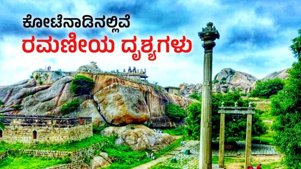  New year 2024: ಕ್ರಿಸ್‌ಮಸ್‌ & ಹೊಸ ವರ್ಷಕ್ಕೆ ಪ್ರವಾಸ ಕೈಗೊಳ್ಳುವ ಪ್ಲಾನ್‌ ಇದ್ಯಾ? ಕೋಟೆನಾಡಿನಲ್ಲಿವೆ ಸುಂದರ ತಾಣಗಳು