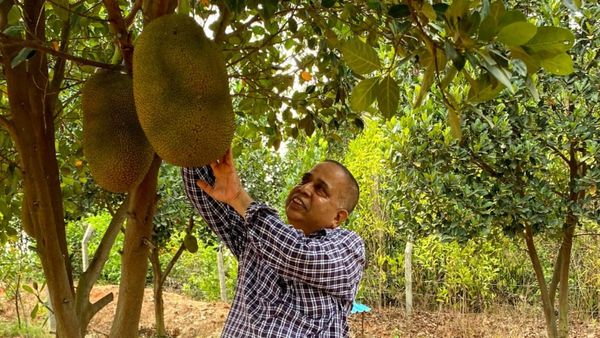 ಕುಂದಾಪುರ: ಬಿಲಿಯನೇರ್ ರೈತ ಪ್ರಶಸ್ತಿಗೆ ಕೆದೂರು ರಮೇಶ್ ನಾಯಕ್ ಆಯ್ಕೆ