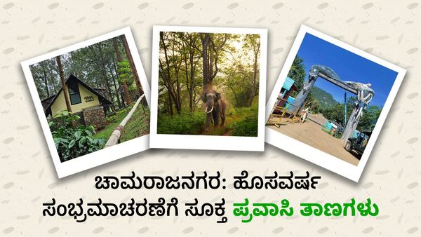  New Year 2024: ಚಾಮರಾಜನಗರ ಜಿಲ್ಲೆಯಲ್ಲಿವೆ ಹೊಸ ವರ್ಷಾಚರಣೆಗೆ ಸೂಕ್ತ ಪ್ರವಾಸಿ ತಾಣಗಳು-ಮಾಹಿತಿ ತಿಳಿಯಿರಿ