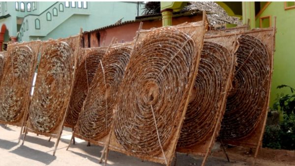 ಚಿಕ್ಕಬಳ್ಳಾಪುರದಲ್ಲಿ ಬಿಸಿಲು ಮೋಡದಾಟ: ರೇಷ್ಮೆ ಬೆಳೆಗೆ ಮಾರಕವಾದ ಥಂಡಿ ವಾತಾವರಣ!