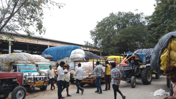 Raichur: ಹತ್ತಿ ಮಾರಾಟಕ್ಕೆ ನೂರೆಂಟು ತೊಡಕು; ಬೆಲೆ ಕುಸಿತದಿಂದ ಕಂಗಾಲಾದ ರೈತರು!