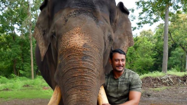 Elephant Arjuna Death: ದಸರಾ ಆನೆ ಅರ್ಜುನ ಸಾವಿನ ಬಗ್ಗೆ ‘ಡಿ-ಬಾಸ್’ ದರ್ಶನ್ ಹೇಳಿದ್ದೇನು?