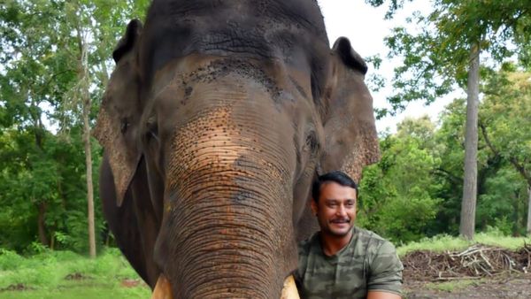 Elephant Arjuna Death: ‘ಅರ್ಜುನನ ಜೊತೆ ನಮ್ಮನ್ನೂ ಮಣ್ಣು ಮಾಡಿ’ ಬಿಕ್ಕಿ ಬಿಕ್ಕಿ ಅಳುತ್ತಿರುವ ಮಾವುತರು