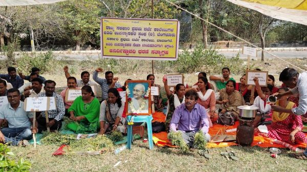 ದಾವಣಗೆರೆಯಲ್ಲಿ ಟೀ, ತಟ್ಟೆ ಇಡ್ಲಿ, ಕಡ್ಲೆಗಿಡ ಮಾರಾಟ ಮಾಡಿದ ಅತಿಥಿ ಉಪನ್ಯಾಸಕರು: ಬೇಡಿಕೆ ಈಡೇರಿಕೆಗೆ ವಿಭಿನ್ನ ಧರಣಿ