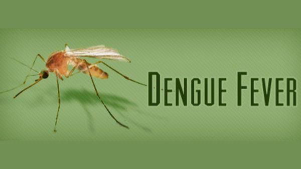 Bengaluru Dengue spike: ಒಂದೇ ತಿಂಗಳಲ್ಲಿ ಡೆಂಗ್ಯೂ ಉಲ್ಬಣ, ಕೇಸ್ ಎಷ್ಟು? ವಲಯವಾರು ಮಾಹಿತಿ ಇಲ್ಲಿದೆ