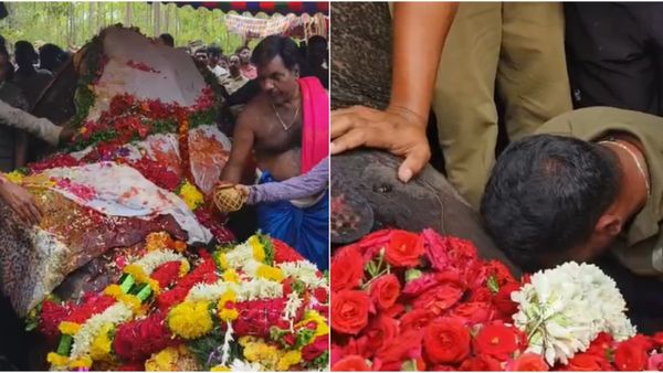 Elephant Arjuna Death: ಅರ್ಜುನನ ಯುಗಾಂತ್ಯ: ಮಣ್ಣಲ್ಲಿ ಮಣ್ಣಾದ ದಸರಾ ಕ್ಯಾಪ್ಟನ್‌