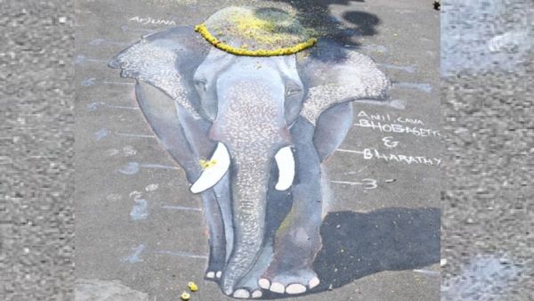 ಮೈಸೂರು ಅರಮನೆ ಮುಂದೆ ಅರ್ಜುನನಿಗೆ ತ್ರಿಡಿ ಪೇಟಿಂಗ್ ನಮನ