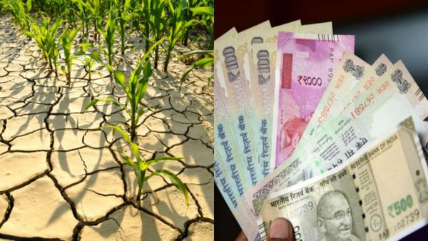 Karnataka Draught Relief: ಬರ ಪರಿಹಾರದ ₹2000 ಪಡೆಯಲು ನೀವು ಅರ್ಹರೆ? ಪಟ್ಟಿಯಲ್ಲಿ ನಿಮ್ಮ ಹೆಸರಿದೆಯೇ? ಇಲ್ಲಿ ಚೆಕ್ ಮಾಡಿ