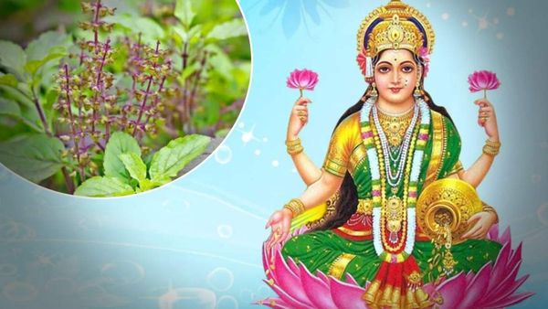 Kharmas 2023: ಈ ದಿನದಂದು ತುಳಸಿ ಎಲೆಯನ್ನು ಕೀಳಬೇಡಿ ಅಥವಾ ದೀಪವನ್ನು ಹಚ್ಚಬೇಡಿ, ಇಲ್ಲದಿದ್ದರೆ ಲಕ್ಷ್ಮಿ ದೇವಿಯು ಕೋಪಗೊಳ್ಳುವಳು