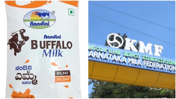 Buffalo Milk: ಡಿಸೆಂಬರ್ 21, 22ರಿಂದ ನಂದಿನಿ ಎಮ್ಮೆ ಹಾಲು ಮಾರಾಟಕ್ಕೆ ಕೆಎಂಎಫ್‌ ನಿರ್ಧಾರ: ದರ ಎಷ್ಟು?
