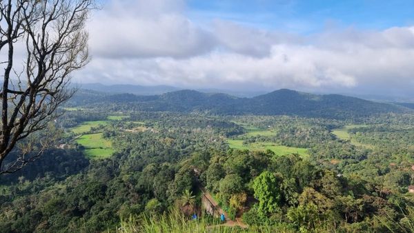 2023ರ ಹಿನ್ನೋಟ; ಹೆಚ್ಚು ಹುಡುಕಿದ ಪ್ರವಾಸಿ ತಾಣಗಳಲ್ಲಿ ಕೊಡಗು!