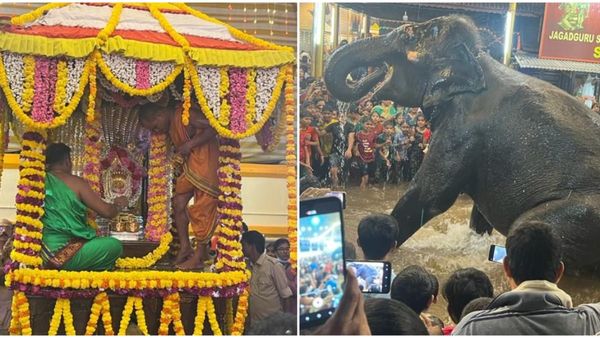 ಕುಕ್ಕೆ ಸುಬ್ರಹ್ಮಣ್ಯ ಕ್ಷೇತ್ರದ ಒಳಗೆ ಗಜಲಕ್ಷ್ಮಿಯ ನೀರಾಟ: ಯಶಸ್ವಿಯ ತುಂಟಾಟ ಕಣ್ತುಂಬಿಕೊಂಡ ಭಕ್ತರು