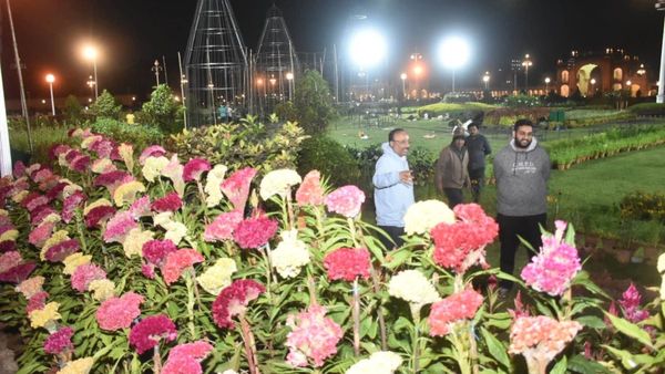 ಡಿ.22ರಿಂದ ಮೈಸೂರು ಅರಮನೆಯಲ್ಲಿ ಮಾಗಿ ಉತ್ಸವ, ಪ್ರವಾಸಿಗರನ್ನು ಸೆಳೆಯಲಿವೆ 4 ಲಕ್ಷ ಹೂಗಳು