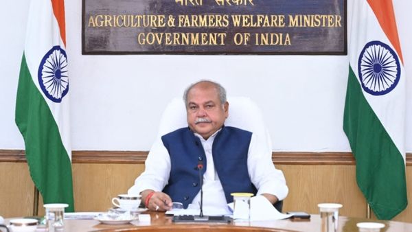 Madhya Pradesh; ಮಧ್ಯಪ್ರದೇಶ ಚುನಾವಣೆ ಗೆದ್ದ ಕೇಂದ್ರ ಕೃಷಿ ಸಚಿವ!