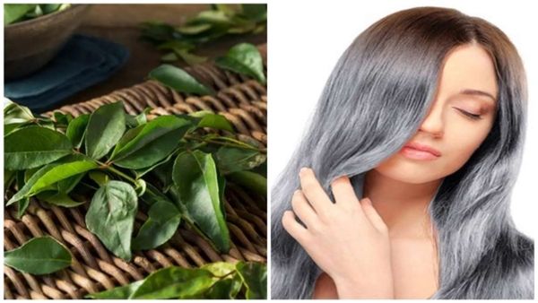 Hair Care: ನಿತ್ಯ ಕೈ ತುಂಬಾ ಕೂದಲು ಉದುರುತ್ತಾ? ತಲೆ ಬೋಳಾಗುವ ಭಯ ಕಾಡ್ತಾಯಿದಿಯಾ? ಹಾಗಾದರೆ ಈ ಸಲಹೆಗಳನ್ನು ಅನುಸರಿಸಿ....