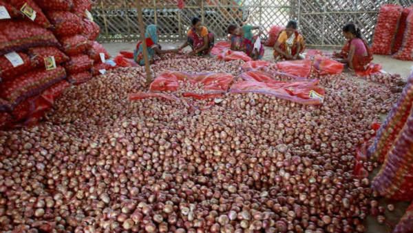 ಹೊರ ದೇಶಕ್ಕೆ ಈರುಳ್ಳಿ ರಫ್ತು ನಿಷೇಧಿಸಿದ ಕೇಂದ್ರ ಸರ್ಕಾರ, ಕಾರಣವೇನು?