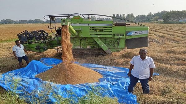 ಭಾರೀ ಬರಗಾಲದ ಮಧ್ಯೆ ಮೈಸೂರಿನ ಭತ್ತದ ಕಣಜದ ರೈತರ ಕೈಹಿಡಿದ ಧಾನ್ಯಲಕ್ಷ್ಮೀ