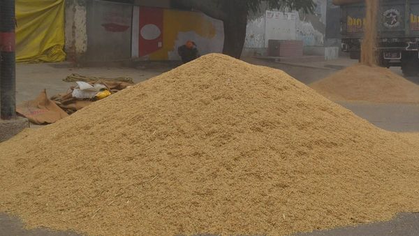  ಬೆಂಬಲ ಬೆಲೆಯಡಿ ಭತ್ತ, ರಾಗಿ ಖರೀದಿ; ರೈತರು ನೋಂದಣಿ ಮಾಡಿಸಲು ಕರೆ 