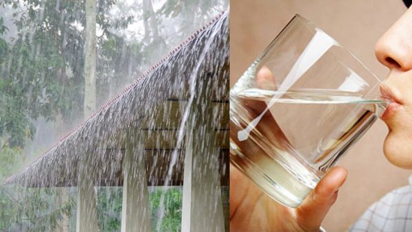 Rain Water Tips: ನಿಮ್ಮನ್ನು ಶ್ರೀಮಂತರನ್ನಾಗಿ ಮಾಡುವ ಮಳೆ ನೀರು, ಹೀಗೆ ಸಂಗ್ರಹಿಸಿ..