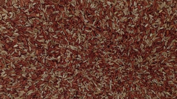 1 ಕೆಜಿ ರಾಜಮುಡಿ ಅಕ್ಕಿ ರೇಟು 100 ರೂ. ದಾಟಿ ಹೋಯ್ತು!