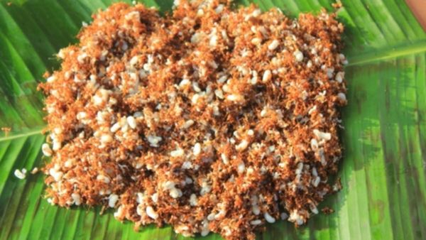 ಛೀ..ಛೀ..ಎನ್ನಬೇಡಿ: ಚಳಿಗಾಲದ ಕೆಮ್ಮು-ಕಫ, ಶೀತಕ್ಕೆ ಕೆಂಪಿರುವೆ ಚಟ್ನಿ ಟ್ರೈ ಮಾಡಿ..!