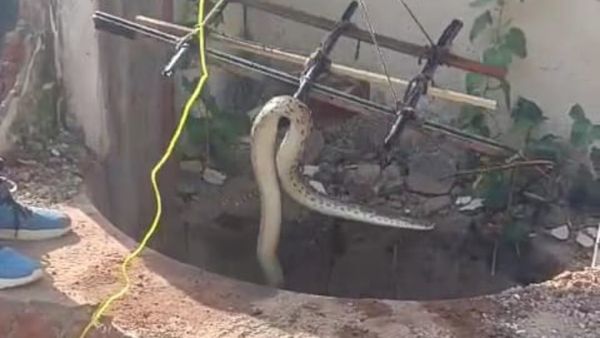ಚಾಮರಾಜನಗರ: ಬಾವಿಯಲ್ಲಿ ಬಿದ್ದು ಒದ್ದಾಡುತ್ತಿದ್ದ ಹಾವುಗಳ ರಕ್ಷಣೆ: ಜನರಿಗೆ ಉರಗ ತಜ್ಞ ಮಾಡಿದ ಮನವಿ ಏನು?