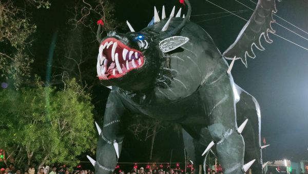 ನಾಡಿಗೆ ಬಂದ ಕಾಡಿನ ಪ್ರಾಣಿಗಳು: ಕಾರವಾರ ಈ ಪುಟ್ಟ ಗ್ರಾಮದಲ್ಲಿ ವಿಶೇಷ ಜಾತ್ರೆ ಆಚರಣೆ