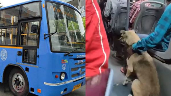 ಬಿಎಂಟಿಸಿಯಲ್ಲಿ ಶ್ವಾನ ಸವಾರಿ, ವಿಡಿಯೋ ಭಾರೀ ವೈರಲ್‌ - ಪ್ರಯಾಣಿಕರು ಹೇಳಿದ್ದೇನು ಗೊತ್ತಾ?