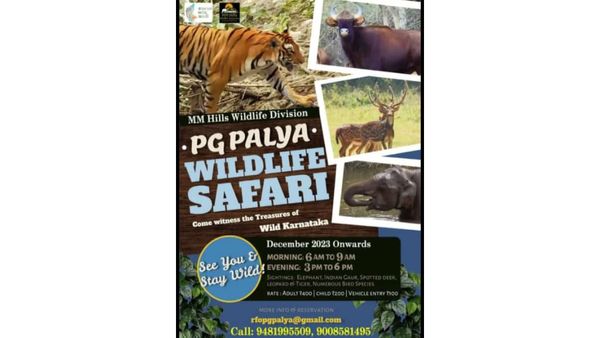 ಪ್ರಾಣಿಪ್ರಿಯರಿಗೆ Good news: ರಾಜ್ಯದಲ್ಲಿ ಮತ್ತೊಂದು ವನ್ಯಜೀವಿ ಸಫಾರಿ ಆರಂಭ