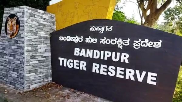 ಬಂಡೀಪುರ: ಕಾಡ್ಗಿಚ್ಚಿನಿಂದ ಕಾಡಿನ ರಕ್ಷಣೆಗಾಗಿ ಬುಡಕಟ್ಟು ಜನರ ನೇಮಕ, ತಿಂಗಳ ಸಂಬಳ ಎಷ್ಟು ಗೊತ್ತಾ?