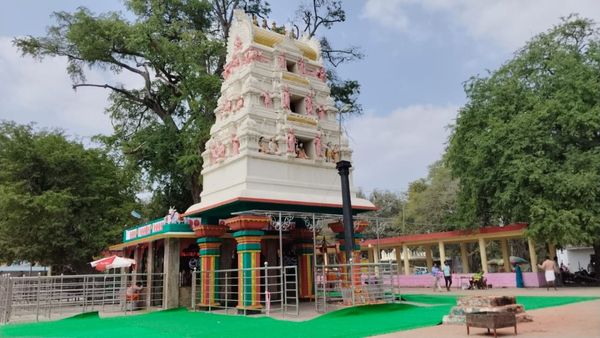 Chikkalluru Jatra: ಇಡೀ ರಾಜ್ಯದ ಗಮನ ಸೆಳೆಯುವ ಚಿಕ್ಕಲ್ಲೂರು ಜಾತ್ರೆಗೆ ಕ್ಷಣಗಣನೆ, ಪ್ರಾಣಿ ಬಲಿ ನಿಷೇಧದ ಜಟಾಪಟಿ