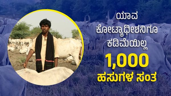 ಮನೆಯಿಲ್ಲದಿದ್ದರೂ ಯಾವ ಕೋಟ್ಯಧೀಶನಿಗೂ ಕಮ್ಮಿಯಿಲ್ಲದಂತೆ ಜೀವನ ನಡೆಸ್ತಿರುವ 1,000 ಹಸುಗಳ ಸಂತ-ಹೇಗೆ ಸಾಧ್ಯ?