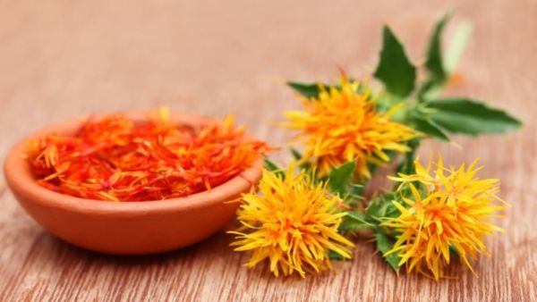 Safflower Oil Benefits: ನಿಮ್ಮ ಅಂದ ಹೆಚ್ಚಿಸುವ ಕುಸುಬೆ ಎಣ್ಣೆ: ಎಲ್ಲರು ವಾವ್ಹ್.... ಅನ್ನೋದ್ರಲ್ಲಿ ಅನುಮಾನವೇ ಇಲ್ಲ....