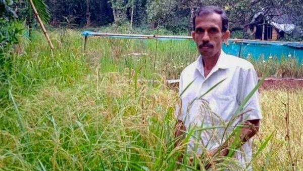 Padma Shri: ಕಾಸರಗೋಡು ಭತ್ತದ ತಳಿಗಳ ಸಂರಕ್ಷಕನಿಗೆ ಒಲಿದ ಪದ್ಮಶ್ರೀ ಗೌರವ