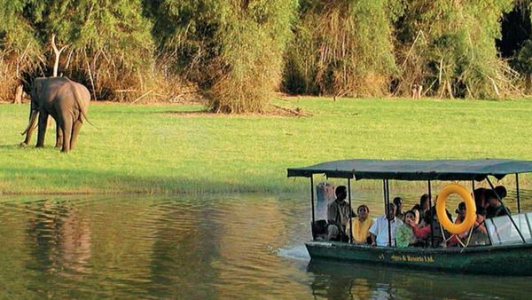 Bangalore-Kabini Trip: ವನ್ಯಜೀವಿಗಳೊಂದಿಗೆ ಒಡನಾಟ ಬೇಕೇ? ಮಿಸ್‌ ಮಾಡದೇ ಇಲ್ಲಿಗೆ ಟ್ರಿಪ್‌ ಪ್ಲಾನ್ ಮಾಡಿ