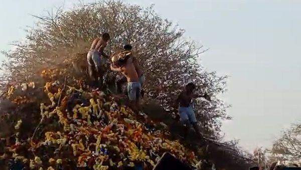 ಬರಿಗಾಲಲ್ಲಿ ಕಳ್ಳೆ ಮುಳ್ಳಿನ ಗುಡಿ ಏರಿ ಕಳಸ ಕಿತ್ತ ಈರಗಾರರು, ಕಾಡುಗೊಲ್ಲರ ಈ ಆರಾಧ್ಯ ದೈವನ ಪವಾಡ ಎಂತಹದ್ದು ಗೊತ್ತಾ?