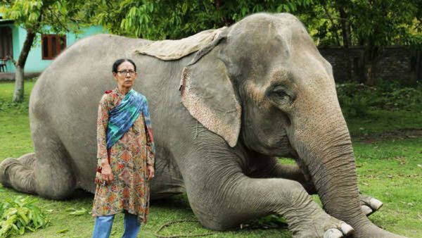 ಪದ್ಮಶ್ರೀ ಪ್ರಶಸ್ತಿಗೆ ಭಾಜನರಾದ ಭಾರತದ ಮೊದಲ ಮಹಿಳಾ ಆನೆ ಮಾವುತ