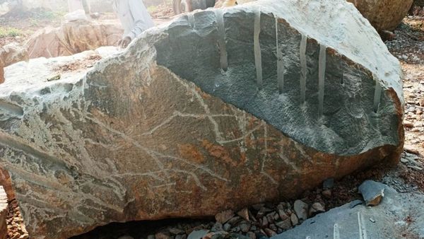 Ayodhya Ram mandir: ಹಾರೋಹಳ್ಳಿಯ ಕೃಷ್ಣಶಿಲೆ ರಾಮಮಂದಿರದ ರಾಮಲಲ್ಲಾನಾಗಿದ್ದು ಹೇಗೆ?