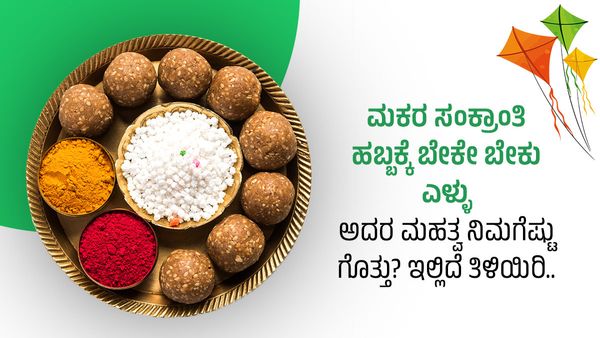 Makara Sankranti 2024: ಮಕರ ಸಂಕ್ರಾಂತಿ ಹಬ್ಬಕ್ಕೆ ಬೇಕೇ ಬೇಕು ಎಳ್ಳು: ಅದರ ಮಹತ್ವ ನಿಮಗೆಷ್ಟು ಗೊತ್ತು? ಇಲ್ಲಿದೆ ತಿಳಿಯಿರಿ