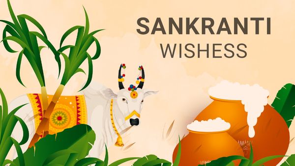 Sankranti Wishes 2024: ಮಕರ ಸಂಕ್ರಾಂತಿ ಶುಭ ಕೋರಲು ಸಂದೇಶಗಳು ಇಲ್ಲಿವೆ