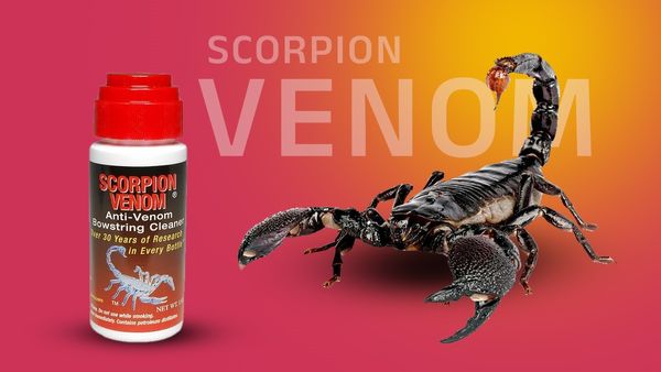 Scorpion Venom: ಚಿನ್ನಕ್ಕಿಂತ ಹೆಚ್ಚಾಯಿತು ಚೇಳಿನ ಬೆಲೆ: ಕೋಟಿ ಕೋಟಿ ಬೆಲೆ ಬಾಳುತ್ತೆ ಈ ಚೇಳಿನ ವಿಷ!