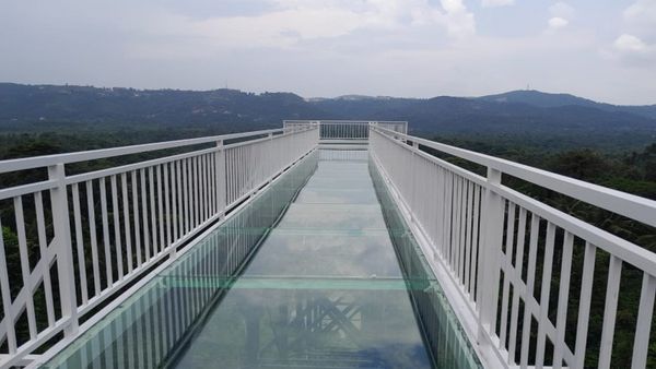 ಕೊಡಗಿನ ಗಾಜಿನ ಸೇತುವೆಯತ್ತ ಪ್ರವಾಸಿಗರು ಮುಗಿಬೀಳುತ್ತಿರುವುದೇಕೆ? ಇಲ್ಲಿನ ವಿಶೇಷತೆ ಏನು?