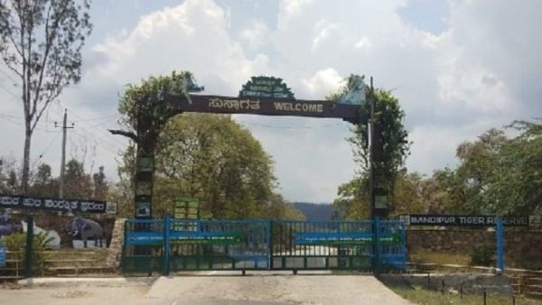 ಬಂಡೀಪುರದಲ್ಲಿ ರಾತ್ರಿ ಸಂಚಾರ ನಿರ್ಬಂಧ ಮುಂದುವರಿಕೆ: ಈಶ್ವರ್ ಖಂಡ್ರೆ ಸ್ಪಷ್ಟನೆ