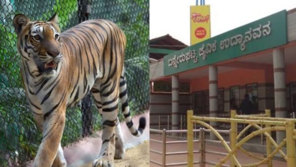 Save Bannerghatta: ಬಂಡೀಪುರ ಉಳಿಸಿ ಅಭಿಯಾನದ ಬೆನ್ನಲ್ಲೇ ಬನ್ನೇರುಘಟ್ಟ ಉಳಿಸಿ ಕೂಗು, ಏನಿದು ವಿಷಯ?