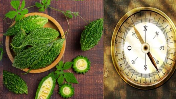 Unlucky plants for home: ಮನೆಯಲ್ಲಿ ಈ ಗಿಡ ಹಾಕಿದರೆ ಕುಂತ್ರೂ ನಿಂತ್ರೂ ಶನಿ ಕಾಟ 